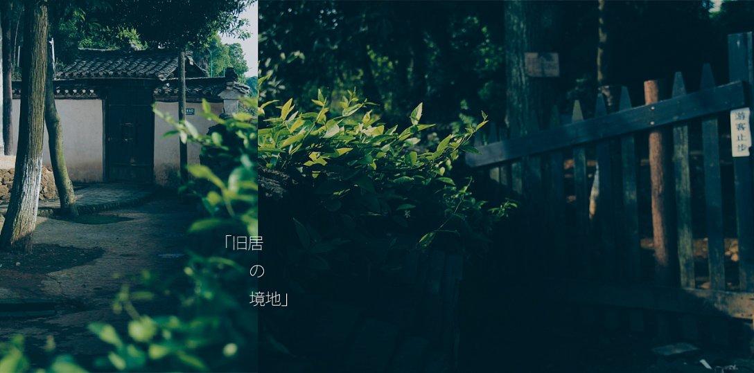 逃离梦想之家