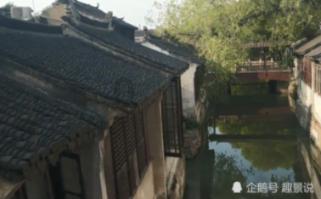 逗小猴开心系列186